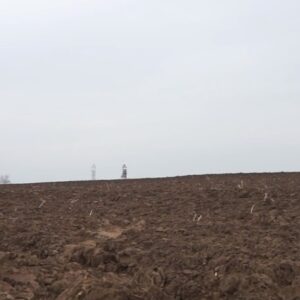 Fideelia-Signe Roots. Nimetu. 2014