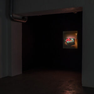 Foto autor Janis Kokk