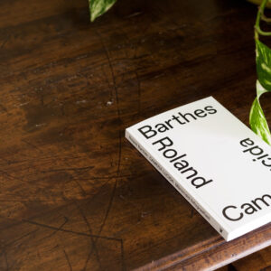 Camera_lucida_05_261x200mm_350dpi