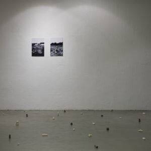 281115_onebecomesmany_1949_X-T1_Janis Kokk_2015