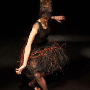 10339332_10204159137729262_7974902749435423230_o