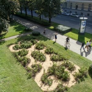 Jaanus Samma, Nõgesed, 2016