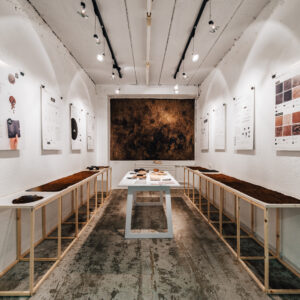 tonutunnel-com_untitled_tt85242