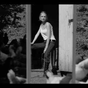 veelioeselgreflection