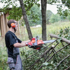 ehitusprotsess1-foto-autor-Kristel-Alliksaar-900x600