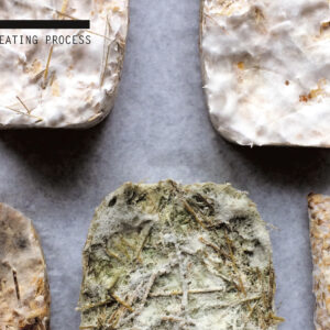 Kris_Veinberg_Presentation-7