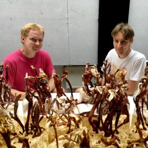 Erki Nagla ja Siim Karro räägivad Arvamusfestivalil sellest, mis on mükoplast ja kuidas seda teha