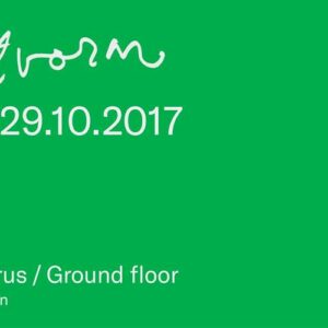 21462952_10155881457722384_2310125560505071013_n