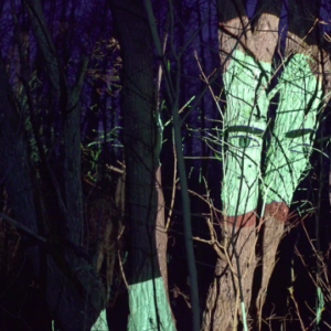 Screen Shot 2017-11-20 at 16.42.06