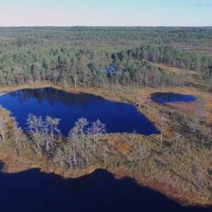 3 Still from Swampfox