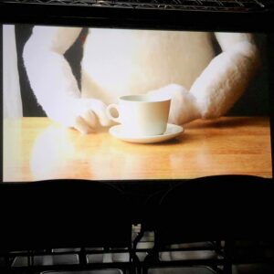 28958833_10156296031144456_2798456151539187712_o