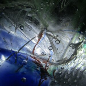 15977005_10209792869196211_4048745778355522078_n