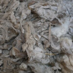 jääkvill_KatrinKabun