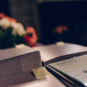 marekmetslaid___MMP2302