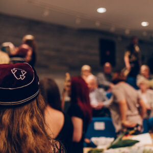 marekmetslaid___MMP2308