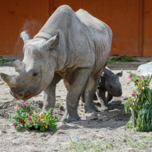 Foto: Andres Putting