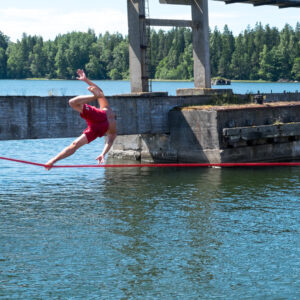 Ronimisministeerium Haral, 2017