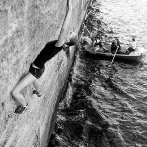 Ronimisministeerium Haral, 2017