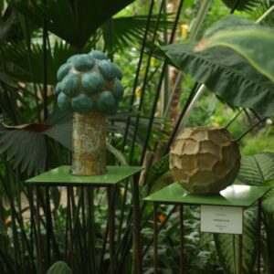 Haidi-Ratas-Looduse-viljad-800x600