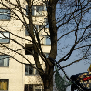 Foto ja looming_autor_ Anna Hints