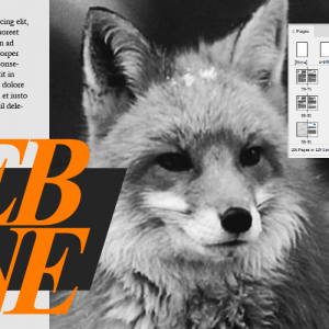 InDesign2_800x800_acf_cropped-300x300-u