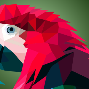 illustrator_algajatele2_600x300_acf_cropped