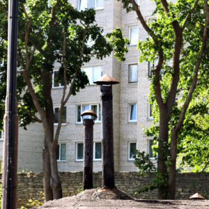 sina_mina_ja_meie_kalev_vapper_2018_narva_10x15_r300