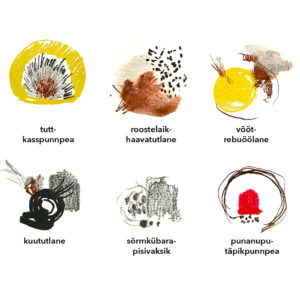 Visuaalse kommunikatsiooni sissejuhatav joonistamiskursus