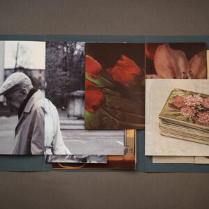 Vera Naydenova Varandus