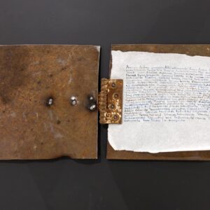 Liis-Marleen Verilaskja. Toxic Relationship. Metall, paber, tušš. 32x26x1 cm. 2019