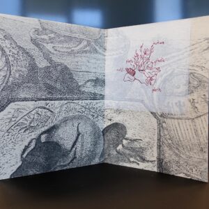 Brit Kikas. Not_BioDegradable. Ofort, koopiatrükk. 20×14,5×2,5 cm. 2019