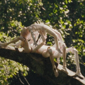 ac6c3cd9a2e55250a5d1f0287a0383b2924d2cb8