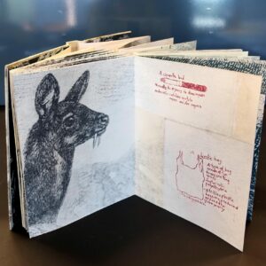 Brit_Kikas_Not_BioDegradable