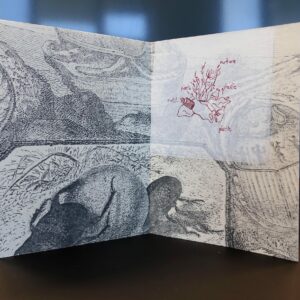 Brit_Kikas_Not_BioDegradable2