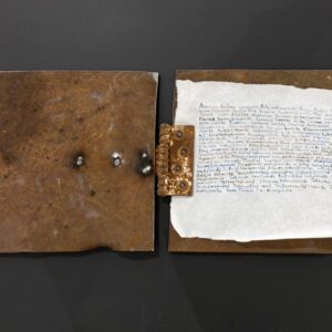 LiisMarleenVerilaskja_Toxic Relationship